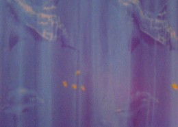 πλαστικη δ11