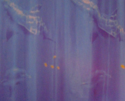 πλαστικη δ11